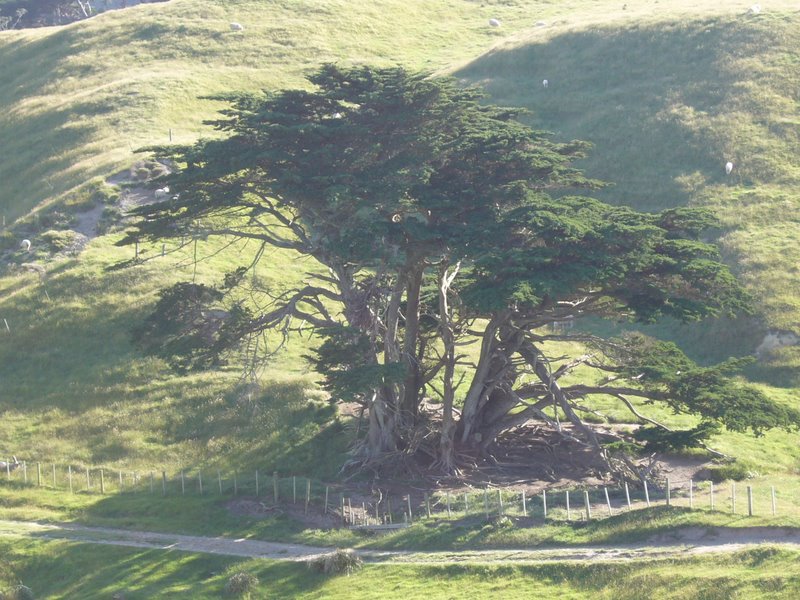Travel - New Zealand - North West and Farewell Spit